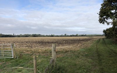 Dorset planners give green light to Enviromena’s largest self-developed solar project