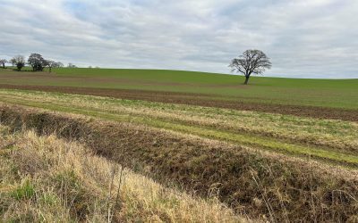 Warwickshire council goes against planning officers and turns down major solar farm on the day Labour’s chancellor promises new planning reforms
