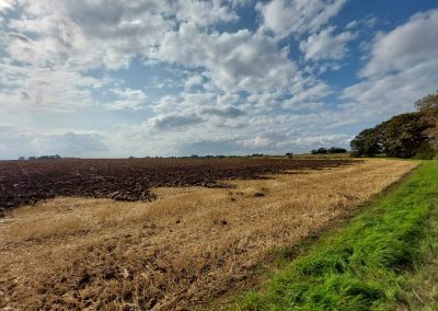 Daisy Hill Solar Farm, Yorkshire