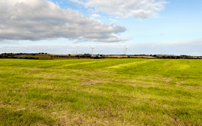 Green light for solar farm providing clean power for over 25k homes