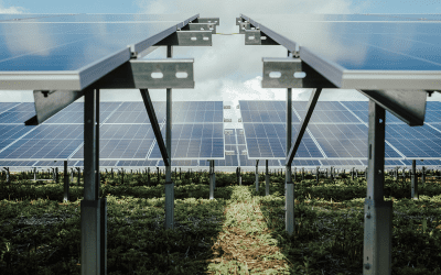 Enviromena adds Shropshire solar farm to expanding UK portfolio