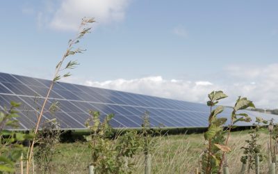 Enviromena named as one of Thames Valley’s 250 most successful companies