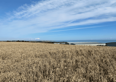 Fox Cover Solar Farm, Durham