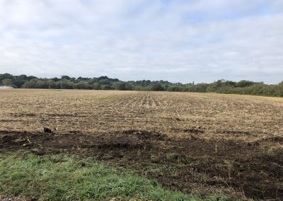 Parley Court Farm, Dorset