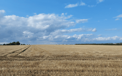 Planning Green Light for Daisy Hill Solar Farm