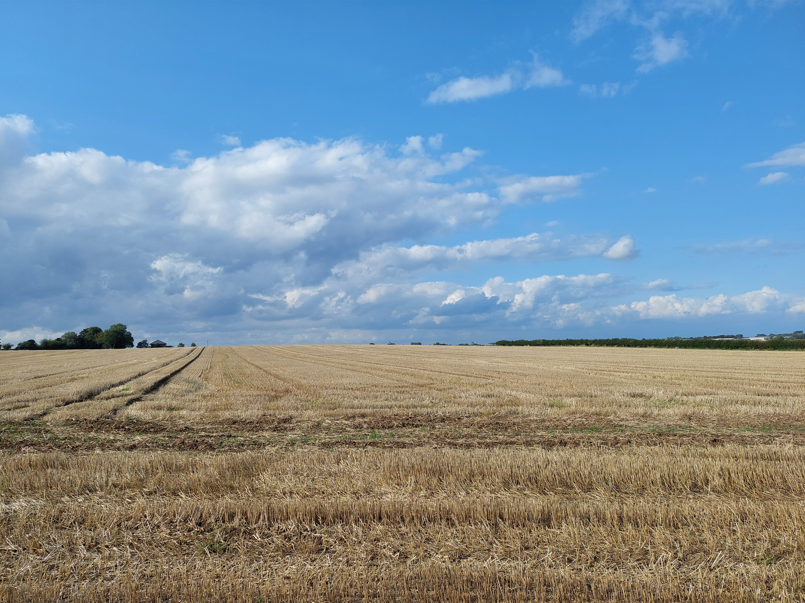 Daisy Hill Solar Farm
