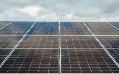 Enviromena to appeal after Marr Solar Farm refused despite officer recommendation and strong planning merits