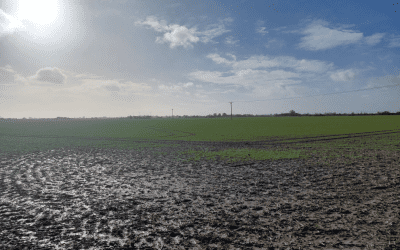 Approval granted for Kent solar project powering more than 10,500 homes