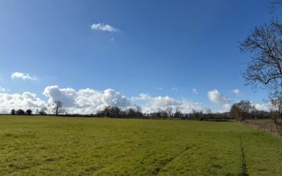 Rugby Borough Council approves 16MW Lutterworth Solar Farm