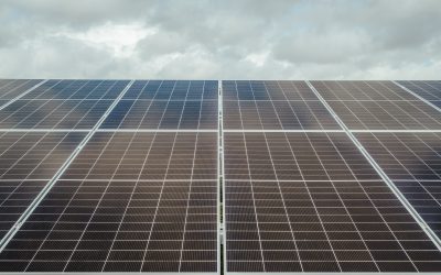 Long-term power purchase agreements secured with EDF for three CfD solar sites