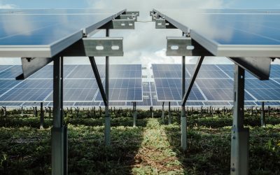 Works starts and £100,000 community fund launches at County Durham solar farm